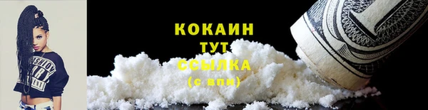 мдпв Киреевск